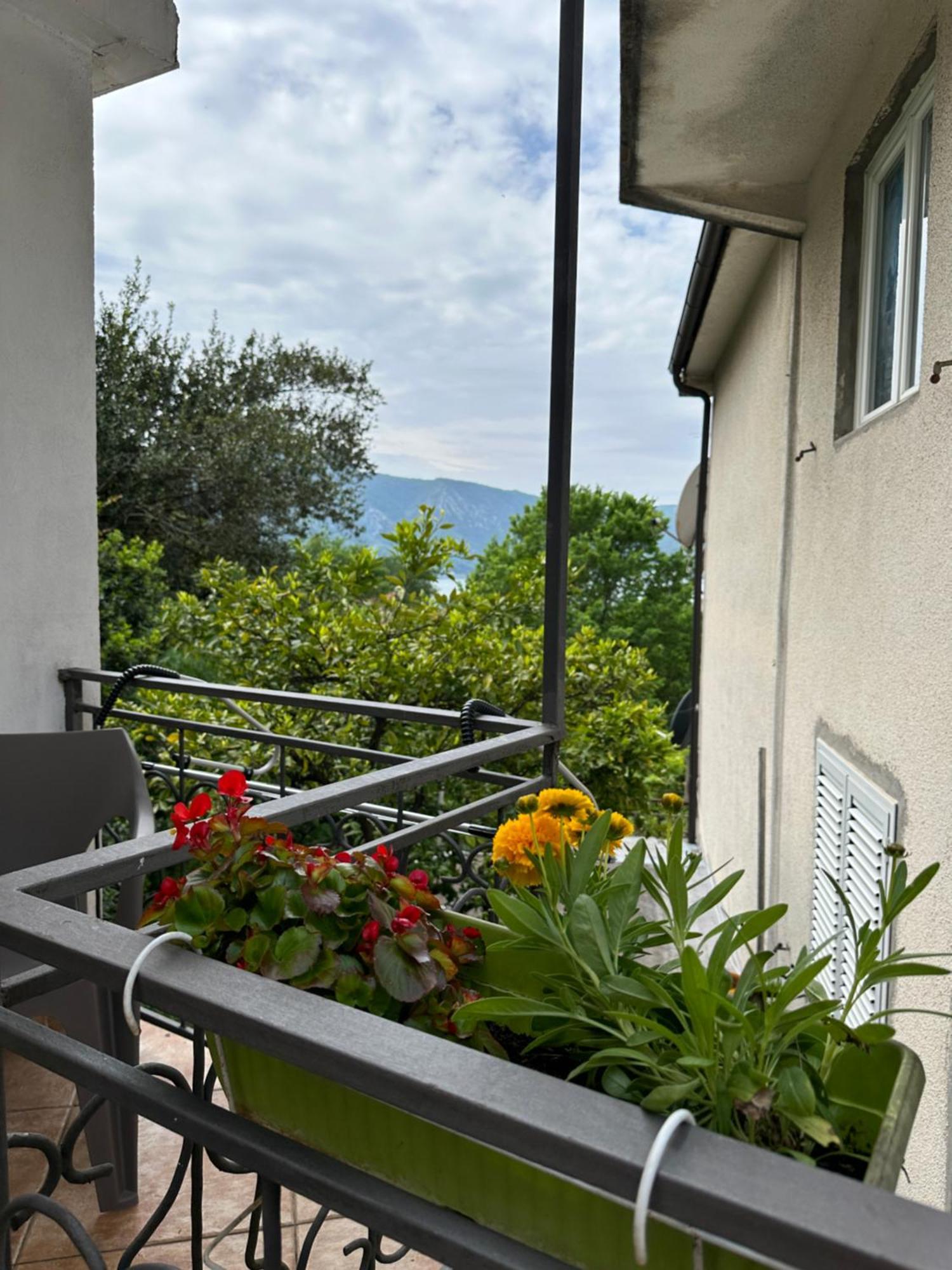 Apartman Nina Risan Dış mekan fotoğraf